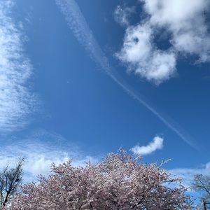 Meet your Posher, Koffi